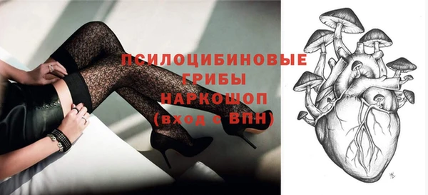 прущий лед Бородино