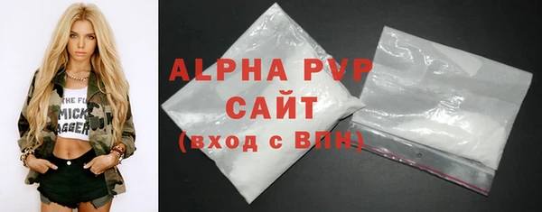 прущий лед Бородино