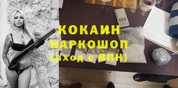 прущий лед Бородино