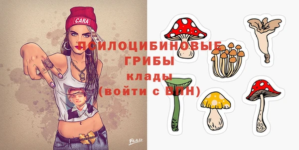 спиды Верея