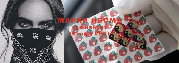 прущий лед Бородино