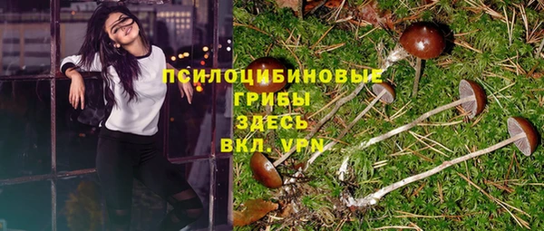 MDMA Premium VHQ Бугульма