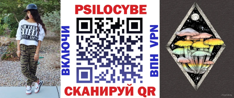 где купить наркоту  Тюмень  Псилоцибиновые грибы прущие грибы 